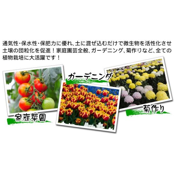 腐葉土 圧縮チーク葉 0l 腐葉土用 1袋 園芸土 国華園 Buyee Buyee 日本の通販商品 オークションの代理入札 代理購入