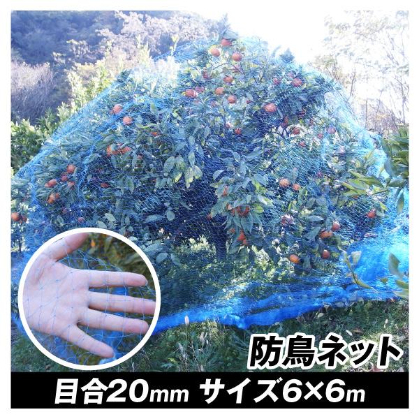 防鳥ネット すっぽり果樹用バードネット（6m×6m）1巻 目合20mm ブルー 防鳥 鳥よけ 国華園