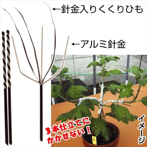 菊作り用品 三本立誘引具 3本1組 国華園 国華園 S 花と緑 国華園 通販 Yahoo ショッピング