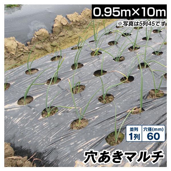 農業用マルチシート 農ポリ 黒穴あきマルチ 1列60 0 95 10m 1枚 少量 農用 マルチ マルチング 被覆資材 ポリエチレン 国華園 S 花と緑 国華園 通販 Yahoo ショッピング