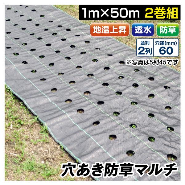 農業用マルチシート 穴あき防草マルチ 2列60 1 50m 2巻1組 農用 マルチング 防草シート 被覆資材 ポリプロピレン 防草 透水 地温上昇 国華園 S24762 花と緑 国華園 通販 Yahoo ショッピング