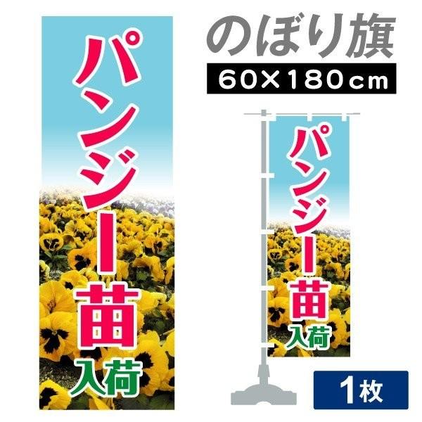 花 苗 パンジーの価格と最安値 おすすめ通販を激安で