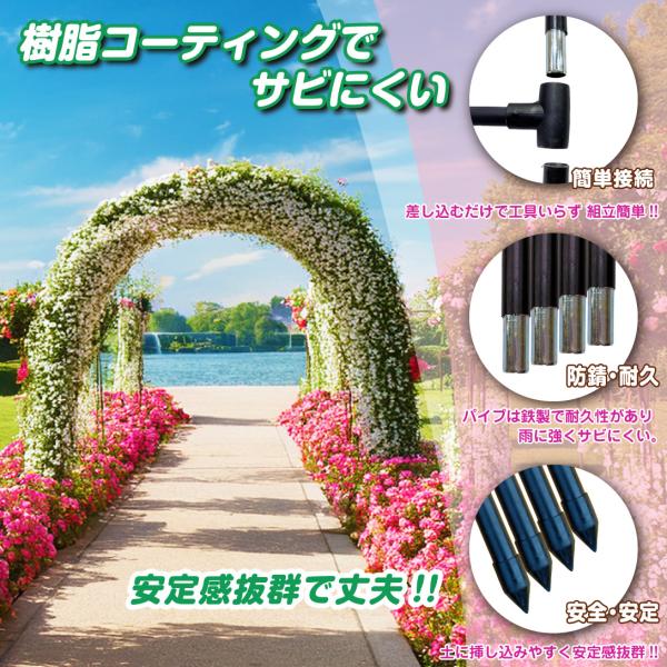 ���؉� �A�[�` �K�[�f�� �o�� �S�� ���[�Y �A�[�` �v���~�A�� 1�� ��180 ���s37 ����240 �A�C�A�� �t�����[ �K�[�f�j���O �� ���� �� �� �o���A�[�` �K�N ���| ���i�摜4