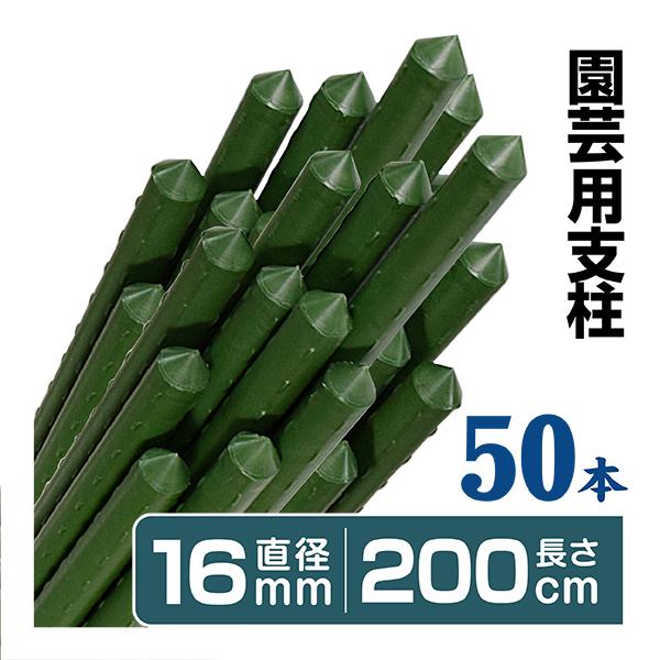 格安新品 渡辺泰 洋ラン線10P 支柱 渡辺泰 パワフル支柱 5号 54cm