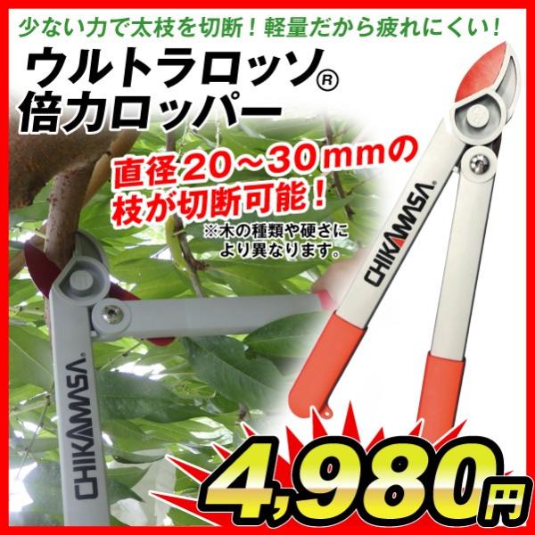  ͂  Egb\q{̓bp[ 1 | _  } ؉