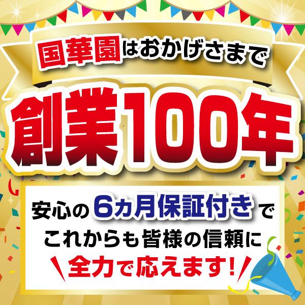 ���؉� �󒲃x�X�g �󒲕� 30V ����x�X�g �t���Z�b�g 1�g �t�@���t���x�X�g ��p�E�F�A �󒲍�ƕ� �M���Ǒ΍� �����΍� �ҏ��΍� ���̋󒲕��ƌ݊��s�� ���i�摜1
