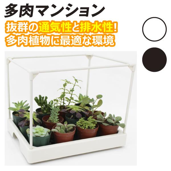●商品情報:多肉植物やサボテンを日差しや雨から守る簡易温室。プランターにかぶせるだけで、手軽に冬越し＆日よけができます。底板＆排水穴付きで根腐れ防止、最大3段まで積み重ねOK。お庭やベランダで植物をたっぷり楽しめます。オフホワイト・ブラック...