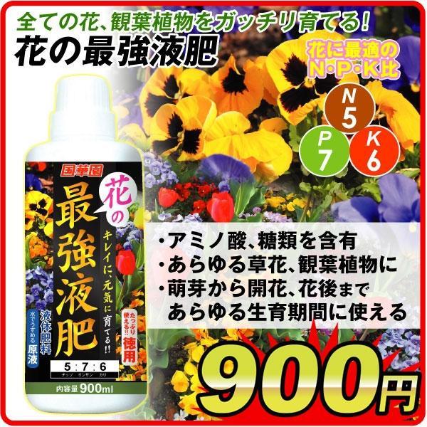 液肥 花の最強液肥 900ml 1本 肥料 5 7 6 Sa4581 花と緑 国華園 通販 Yahoo ショッピング