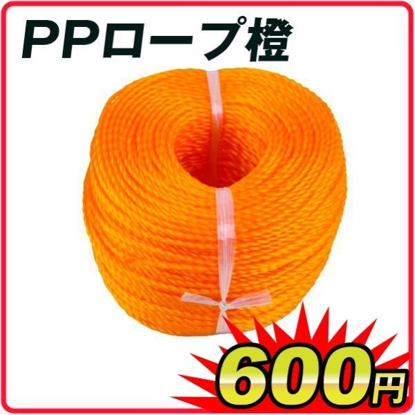 PP[v@ a6mm×20m PP ؉ SCS100