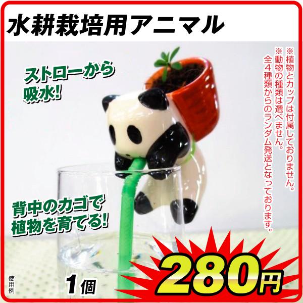 商品情報：ストローから吸水して、背中のカゴの植物が育つ！セット内容：カゴ付きマスコット・吸水部（ストロー）※マスコットの動物の種類はお選びいただけません。全4種類の中からランダム出荷となっております。※植物やタネ、土、コップは付属しておりま...