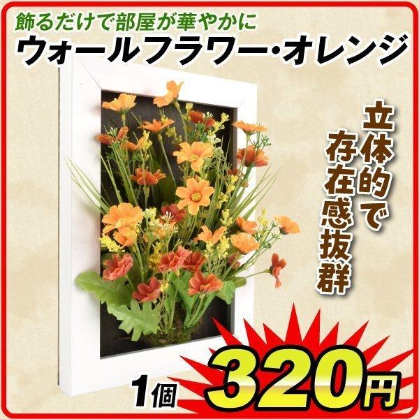 ウォールフラワー オレンジ Sa7729 花と緑 国華園 通販 Yahoo ショッピング