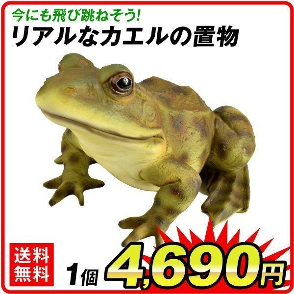 K[fI[ig AȃJG̒u 1  Aj} A u K[f K[fjO IuWF G   ؉