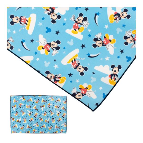 サイズ：約40cm Ｘ 60cm品質：綿100%原産国：日本・様々な検査基準をクリアした安心の品質を実現しています。・キャラクターアイテムは全て、各キャラクターブランドの公式ライセンス商品となっております。・お子様のご入園ご入学時・新学期の...