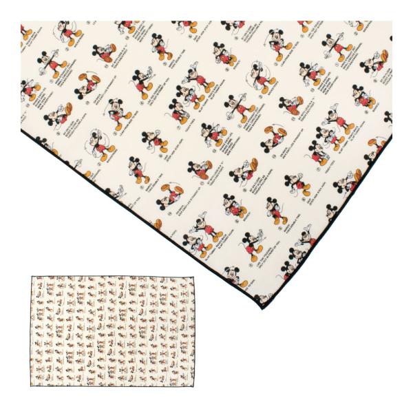 サイズ：約40cm Ｘ 60cm品質：綿100%原産国：日本・キャラクターアイテムは全て、各キャラクターブランドの公式ライセンス商品となっております。・お子様のご入園ご入学時・新学期のご準備・お誕生日やクリスマス等のプレゼントとしてもオスス...