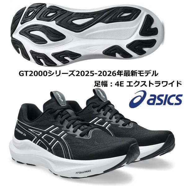 シューズ ASICS RISE ASICS アシックス ASICS/メンズ ランニングシューズ/GT-2000 14