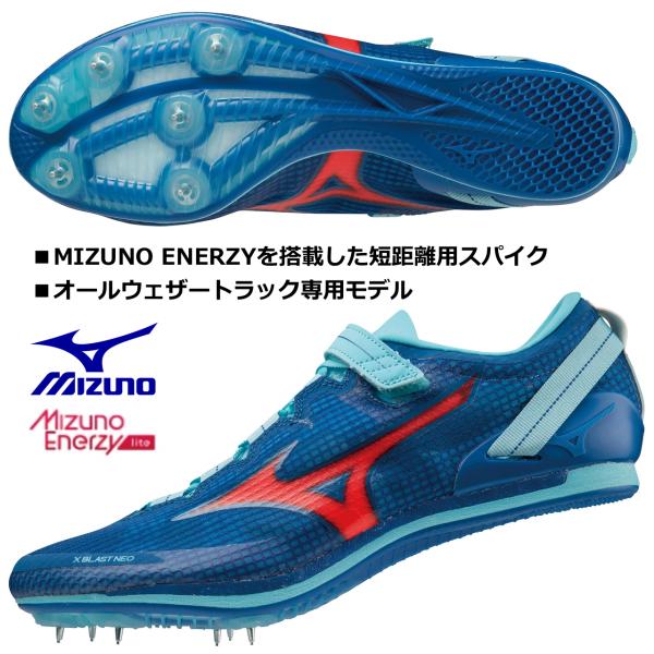 kokkidozao_u1ga230601 kokkidozao_u1ga230601