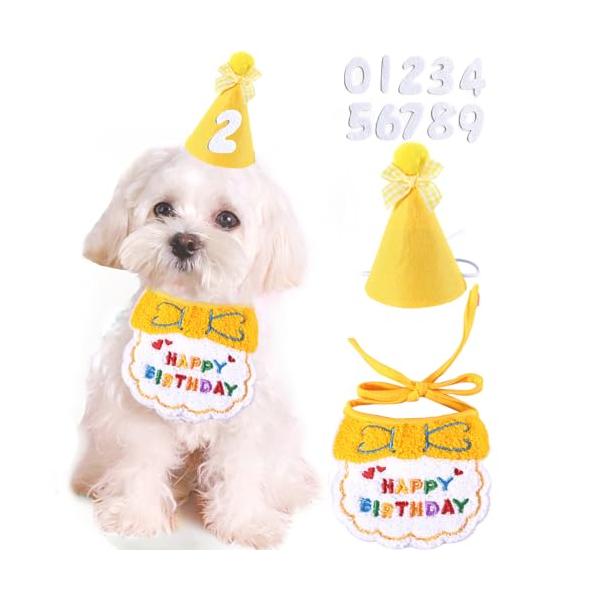 犬 誕生日  犬 猫用 誕生日グッズ 誕生日 3点セット バースデー ペット用誕生日  数字付き クラウン きらきら バースデーハット 飾り付け