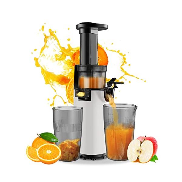 他サイト： アセキ スロージューサー 搾りカス分離 低速回転 ジューサー 小型 ミキサー 高い搾汁率 酸化しにくい コンパクト フルーツ 野菜 ビタミン 酵の商品画像