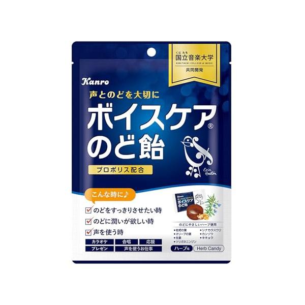 他サイト： カンロ ボイスケアのど飴 70g×6袋の商品画像