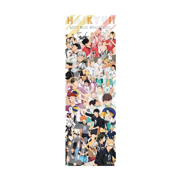 エンスカイ(ENSKY) ハイキュー HAIKYU CHRONICLES 34×102cm