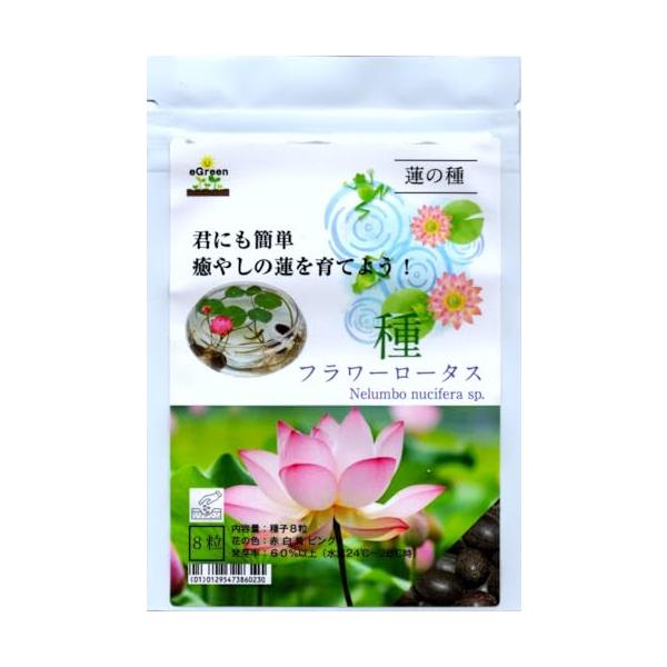 Green/8×12　10グラム/0101875962533939・水草の種　種類：ハスの種（フラワーロータス）種 8粒　(花の色：白×２赤×２黄色×２ピンク×２)　国産種子・水槽レイアウト、めだかのビオトープにお勧め時期には綺麗な蓮の花が...