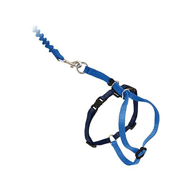 軽量ロイヤルブルー/L/4589875840288・Size:LColor:ロイヤルブルー・パッケージ個数:1・猫の自然な動きに配慮：アメリカのメーカー、PetSafe（ペットセーフ）が獣医師と共同開発した猫用ハーネス＆リードセット。猫の首...