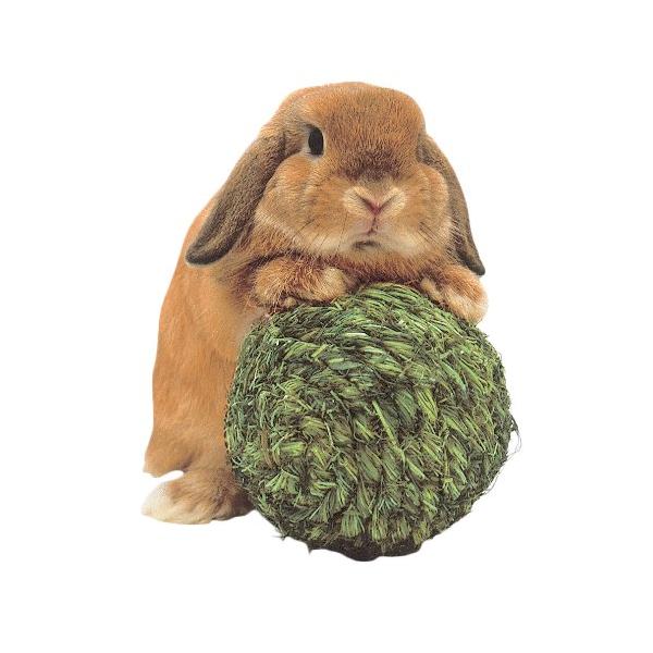 -/1個/4964157500232・Size:1個・パッケージ個数:1・栄養成分:粗繊維質 34.1%、たんぱく質 5.0%、脂質 1.0%