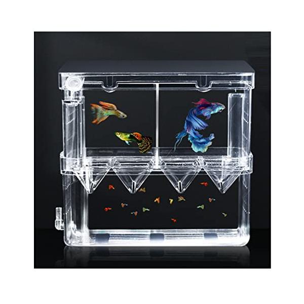 産卵ケース透明/L/-・Size:L・パッケージ個数:1・多機能&amp;2段式2箇所産卵ケース 水作:隔離ボックスは上下2段式になっていますので、稚魚だけでなく、ひとつの水槽で多種類の魚を飼育するために使うこともできます。ボックスの上には...