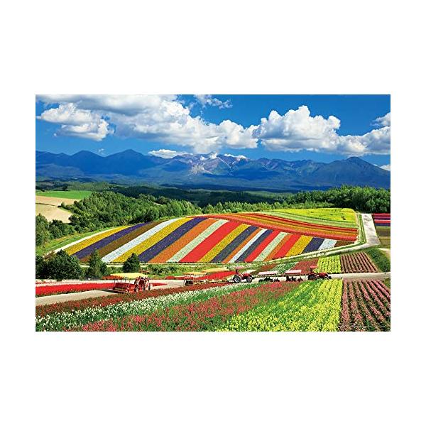 やのまん(Yanoman) 日本製1000ピース ジグソーパズル 日本の風景 四季彩の丘と十勝岳連峰(北海道) (50ｘ75cm) 10-142