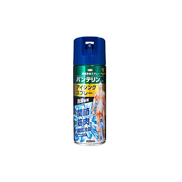 バンテリンアイシングスプレー コールドスプレー　アイシング中古 kokomomozu-store_gtc083e8cee4