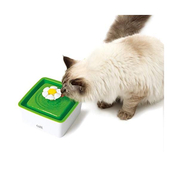 グリーン/-/57373・パッケージ個数:1・本体サイズ (幅X奥行X高さ) :18×18.5×12cm・本体重量:0.34kg・原産国:マレーシア