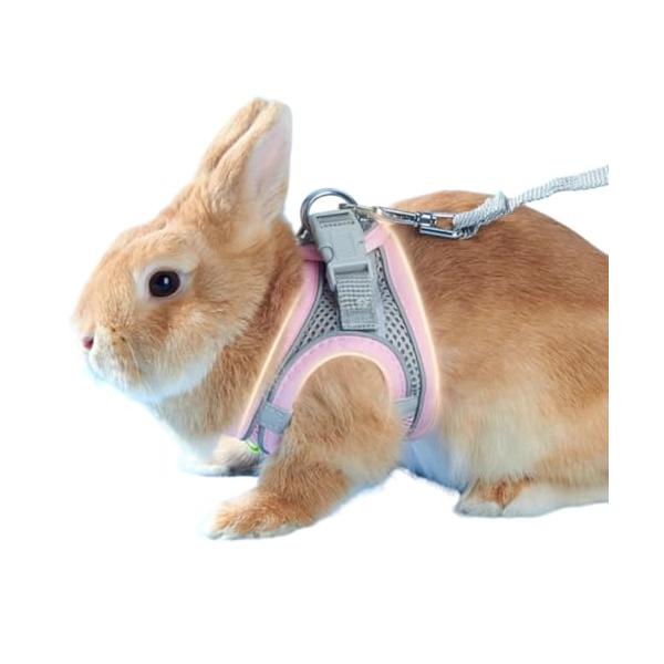 ピンク/XXS/20240807・Size:XXSColor:ピンク・パッケージ個数:1・しっかりホールド首回りと胸周りでしっかりホールドできるウサギ用のハーネスです。お散歩中も迷子になりません。・メッシュ素材メッシュ素材なので通気性が良く...