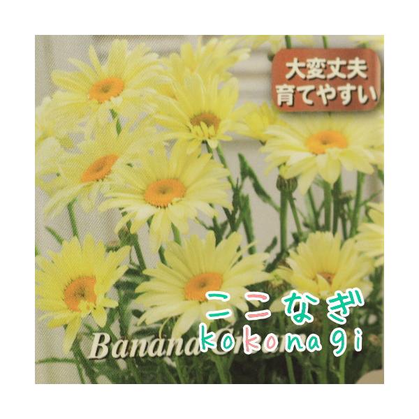 シャスターデージー レウカンセマム バナナクリーム 10.5センチポット 3.5号 /【Buyee】 シャスターデージー レウカンセマム バナナクリーム 10.5センチポット 3.5号 /【Buyee】