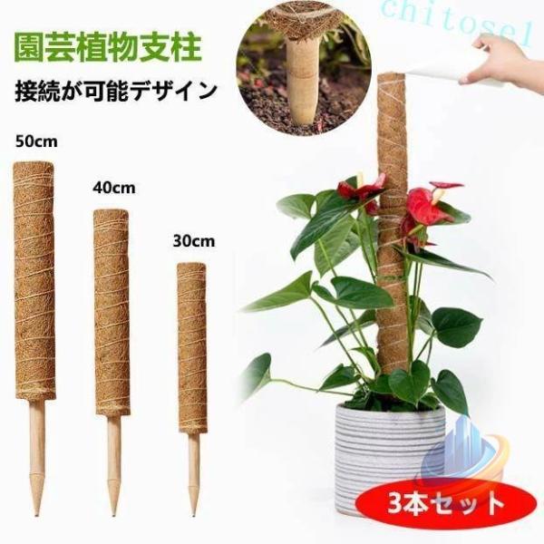 3本セット ココスティック モンステラ 支柱 おしゃれ 植物 ポトス 高さ調整可能ゾンチー頑丈 耐久 ココナッツ 園芸支柱 植物支柱 花ささえ 連結 延長 木製