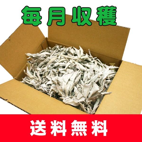 オーガニックホワイトセージ 1kg 配達地域限定 : KOKOPELLI for