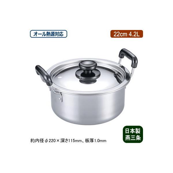  { XeX IHΉ MOLYBDENUM pV[Y  22cm 4.2L V O Ɩp 18-0XeX