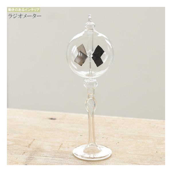 WI[^[ 18cm CeAG  ObY KX 킢 Vv  G ObY k u   IuWF 邭