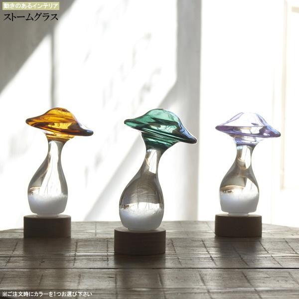 CeAXg[OX ̂ 1 I uE O[ Cgp[v  킢 LmR Y Xg[OX  G k u KX