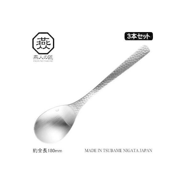 スプーン セット ステンレス 日本製 燕三条製 ENJIN-NO-TAKUMI