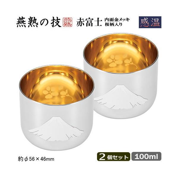  傱 { 2g Made in TSUBAME M̋Z XeX ۂ ԕxm  ʋbL 2P