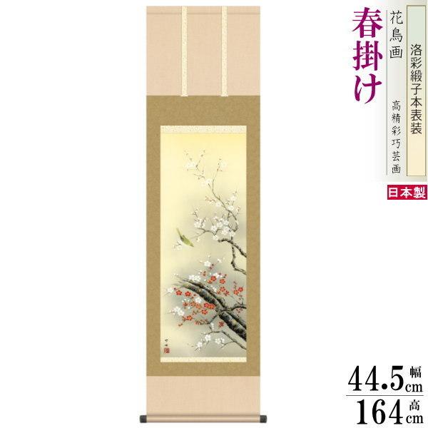 | Ԓ t| c| g~ 2 jq{\ 3×1 {  敡 | t ~̉ g  ߂ł 蕨