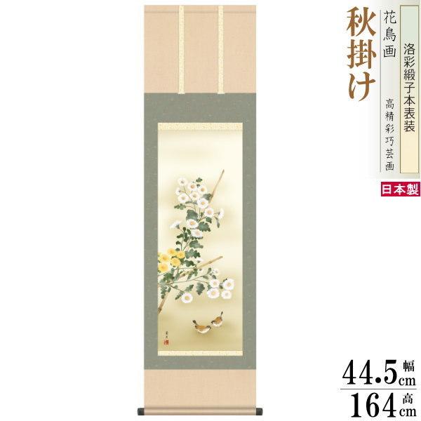 掛け軸 花 菊」の人気商品一覧・価格比較 - 価格.com