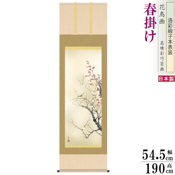 | Ԓ t| c| g~ jq{\ 5 ˔ 1 {  敡 | t a ̊ԏ 蕨 v[g