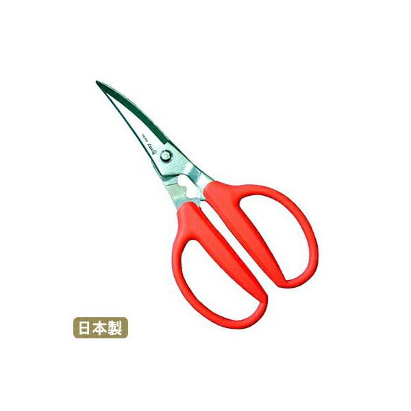 Lb`΂ Jj`LnT~ { Ɩp ƒp Lb`oT~ ΂ Lb`͂  ͂ Jj΂ I