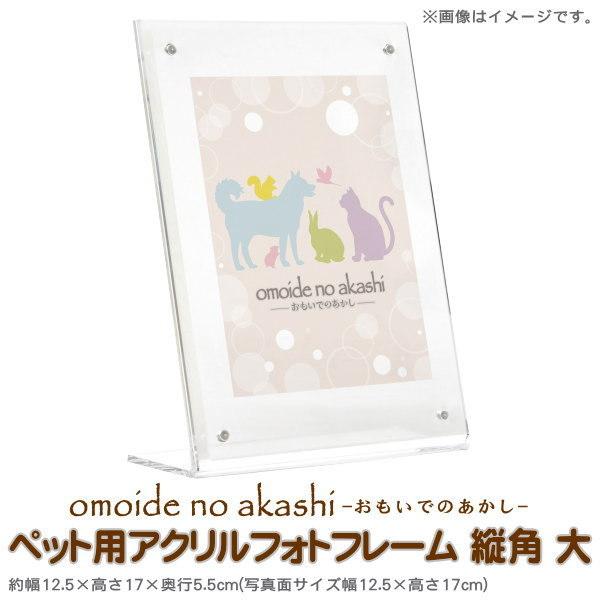 ybgp  tHgt[ omoide no akashi ybgp AN ʐ^ cp  ybg̎ʐ^ Εt ybg{