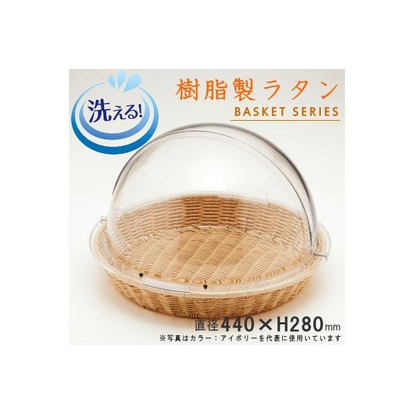 t[hJo[t ^ ی^]Jo[trbtFoXPbg 40^TCY  􂦂   qI a΍ 򖗖h~ e