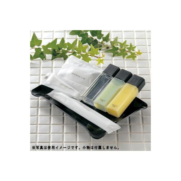 gC u ANg[ ubN Ɩp Tj^[ ʗpi [  ʏ  G Vv u