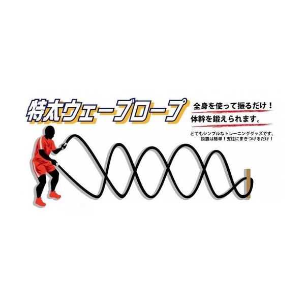 g[jO W[v 7kg  tBbglX ̊ XCO[v GNTTCY ̘r ؃g L_f^ Ci[}bX NK8916 