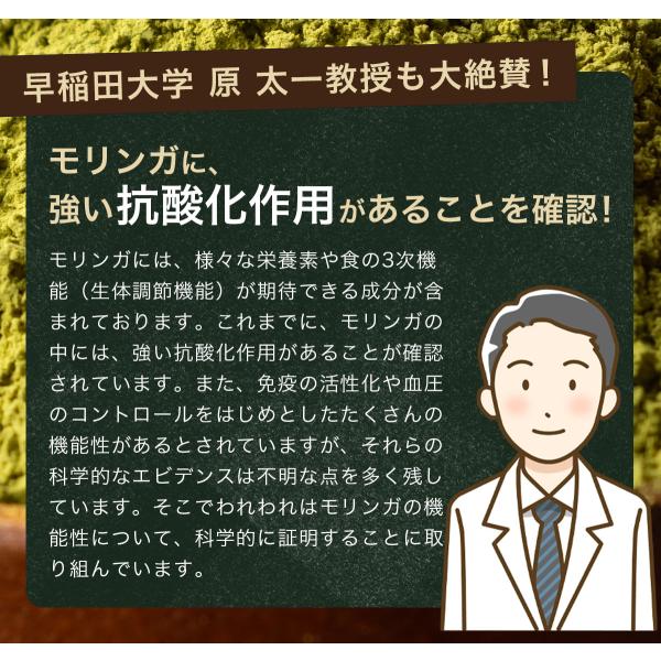 kom-kom_moringa-powder_5_d_20250611222921