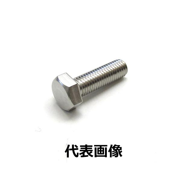 Ai XeX SUS304 Zp{g SlW@M20×100mm S˂ 20{ SUS_BT_M20_100_BOX